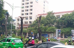 Hà Nội giải thích việc chặt cây xanh trên đường Nguyễn Trãi